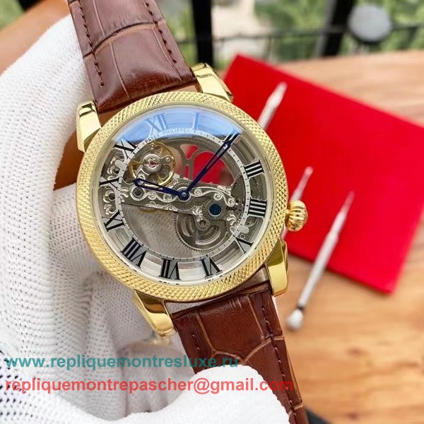 Replique Patek Philippe Automatique Skeleton PPMN141